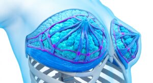 가슴거상의 의학적 원리를 설명하는 3D 해부학적 구조 일러스트